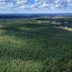 Photo #30 of Off E Pleasant Hill Rd, Pink Hill, NC 81.0 acres