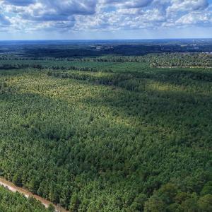 Photo #31 of Off E Pleasant Hill Rd, Pink Hill, NC 81.0 acres