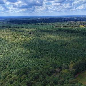 Photo #32 of Off E Pleasant Hill Rd, Pink Hill, NC 81.0 acres