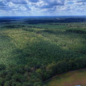 Photo #33 of Off E Pleasant Hill Rd, Pink Hill, NC 81.0 acres