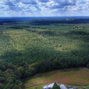 Photo #34 of Off E Pleasant Hill Rd, Pink Hill, NC 81.0 acres