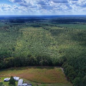 Photo #35 of Off E Pleasant Hill Rd, Pink Hill, NC 81.0 acres