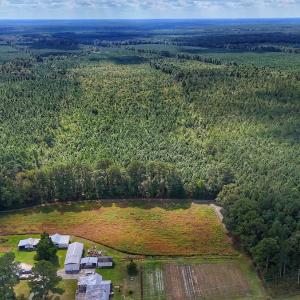 Photo #36 of Off E Pleasant Hill Rd, Pink Hill, NC 81.0 acres