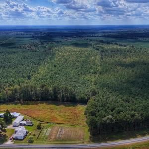 Photo #37 of Off E Pleasant Hill Rd, Pink Hill, NC 81.0 acres