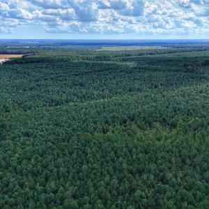 Photo #6 of Off E Pleasant Hill Rd, Pink Hill, NC 81.0 acres