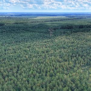 Photo #8 of Off E Pleasant Hill Rd, Pink Hill, NC 81.0 acres