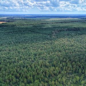 Photo #9 of Off E Pleasant Hill Rd, Pink Hill, NC 81.0 acres