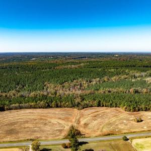 Photo #11 of Off Ephesus Church Road, Semora, NC 17.5 acres