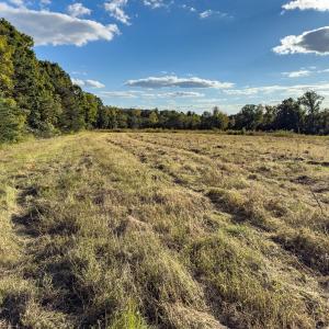 Photo #12 of Off Ephesus Church Road, Semora, NC 17.5 acres