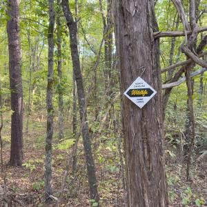 Photo #13 of Off Ephesus Church Road, Semora, NC 17.5 acres