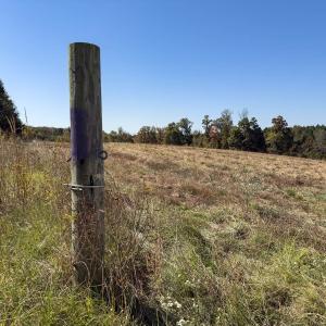 Photo #15 of Off Ephesus Church Road, Semora, NC 17.5 acres