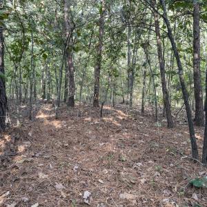 Photo #16 of Off Ephesus Church Road, Semora, NC 17.5 acres