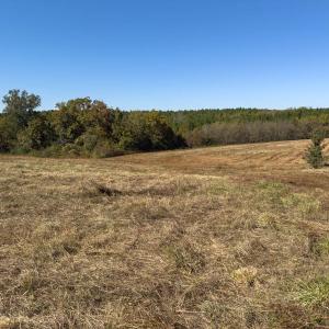 Photo #20 of Off Ephesus Church Road, Semora, NC 17.5 acres