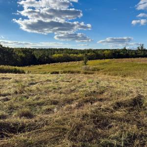 Photo #4 of Off Ephesus Church Road, Semora, NC 17.5 acres