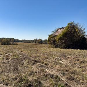 Photo #23 of Off Ephesus Church Road, Semora, NC 17.5 acres