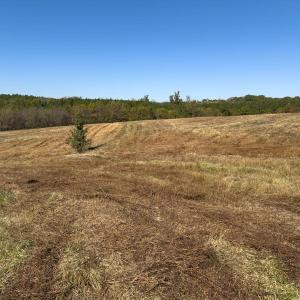 Photo #28 of Off Ephesus Church Road, Semora, NC 17.5 acres