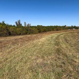 Photo #31 of Off Ephesus Church Road, Semora, NC 17.5 acres