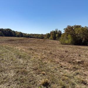 Photo #37 of Off Ephesus Church Road, Semora, NC 17.5 acres