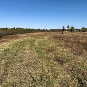 Photo #40 of Off Ephesus Church Road, Semora, NC 17.5 acres