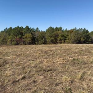Photo #41 of Off Ephesus Church Road, Semora, NC 17.5 acres