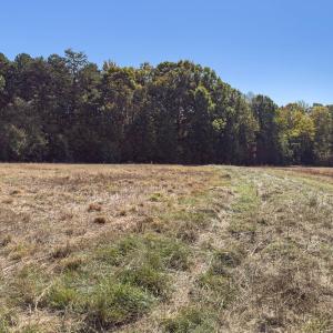 Photo #42 of Off Ephesus Church Road, Semora, NC 17.5 acres
