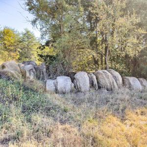 Photo #43 of Off Ephesus Church Road, Semora, NC 17.5 acres