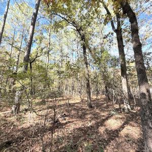 Photo #10 of Off Elfman Dr, Spring Lake, NC 0.5 acres