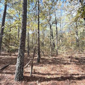 Photo #11 of Off Elfman Dr, Spring Lake, NC 0.5 acres