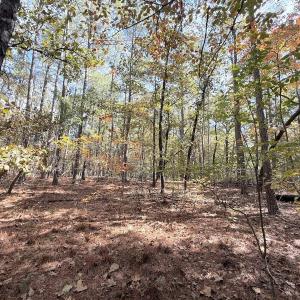 Photo #12 of Off Elfman Dr, Spring Lake, NC 0.5 acres