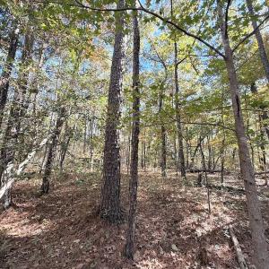 Photo #13 of Off Elfman Dr, Spring Lake, NC 0.5 acres