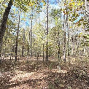 Photo #14 of Off Elfman Dr, Spring Lake, NC 0.5 acres