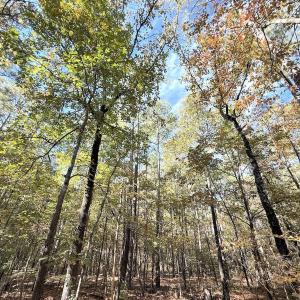 Photo #16 of Off Elfman Dr, Spring Lake, NC 0.5 acres