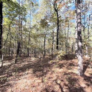 Photo #17 of Off Elfman Dr, Spring Lake, NC 0.5 acres