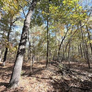 Photo #18 of Off Elfman Dr, Spring Lake, NC 0.5 acres