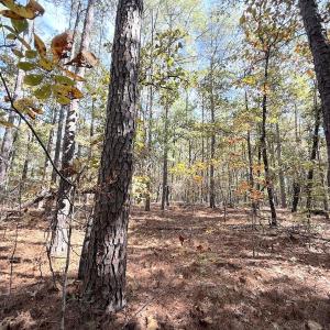 Photo #19 of Off Elfman Dr, Spring Lake, NC 0.5 acres