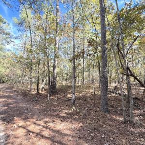 Photo #1 of Off Elfman Dr, Spring Lake, NC 0.5 acres