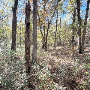 Photo #20 of Off Elfman Dr, Spring Lake, NC 0.5 acres