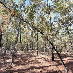 Photo #21 of Off Elfman Dr, Spring Lake, NC 0.5 acres