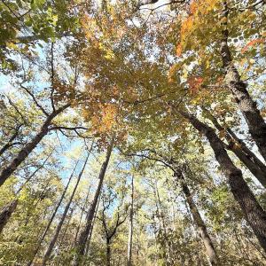 Photo #22 of Off Elfman Dr, Spring Lake, NC 0.5 acres