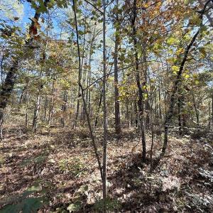 Photo #23 of Off Elfman Dr, Spring Lake, NC 0.5 acres