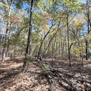 Photo #24 of Off Elfman Dr, Spring Lake, NC 0.5 acres