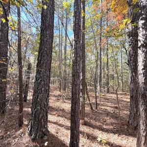 Photo #3 of Off Elfman Dr, Spring Lake, NC 0.5 acres