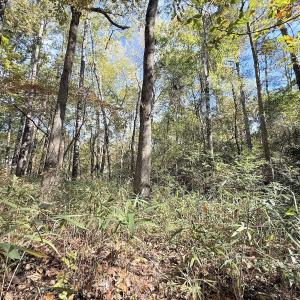 Photo #4 of Off Elfman Dr, Spring Lake, NC 0.5 acres