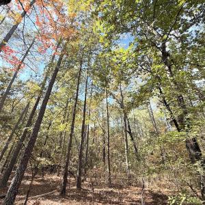 Photo #5 of Off Elfman Dr, Spring Lake, NC 0.5 acres