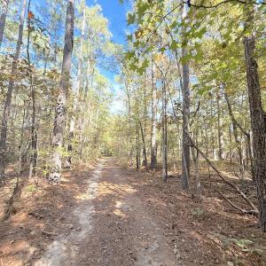 Photo #6 of Off Elfman Dr, Spring Lake, NC 0.5 acres