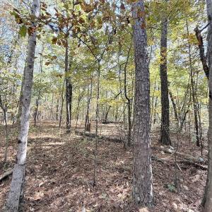 Photo #7 of Off Elfman Dr, Spring Lake, NC 0.5 acres