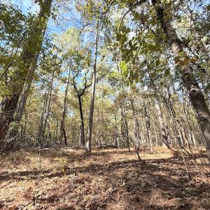 Photo #9 of Off Elfman Dr, Spring Lake, NC 0.5 acres