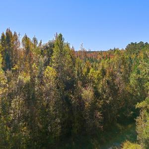 Photo #1 of 24451 Highway 50 , Maple Hill, NC 11.0 acres