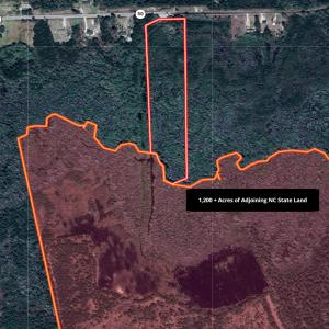 Photo #10 of 24451 Highway 50 , Maple Hill, NC 11.0 acres