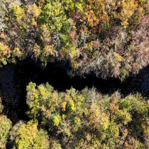 Photo #11 of 24451 Highway 50 , Maple Hill, NC 11.0 acres